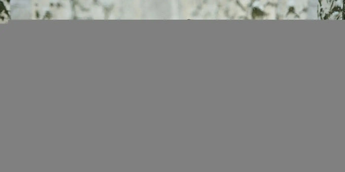 Femme portant une robe pull blanche cintrée.