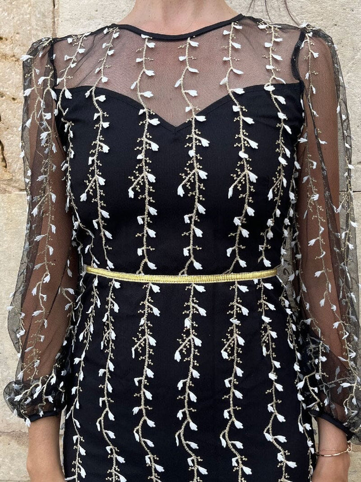 Robe midi noire brodée Alyson avec manches transparentes et motifs floraux élégants pour une soirée chic.