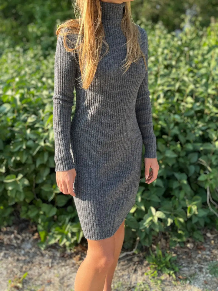 robe pull col roulé en cachemire couleur gris, modèle Aby pour femme, avec des manches longues et look chic