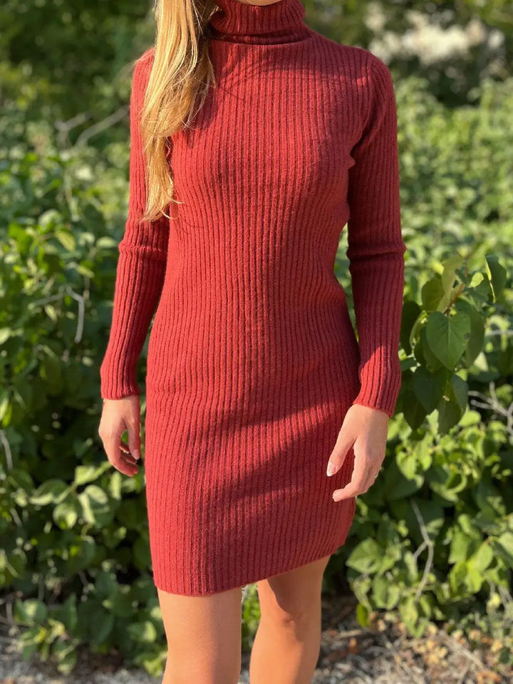 robe pull col roulé en cachemire couleur bordeaux, modèle Aby pour femme, avec des manches longues et look chic