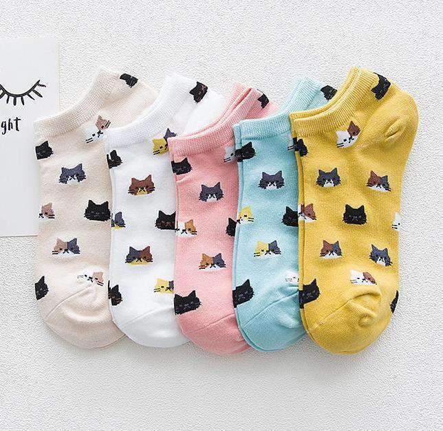 lot de 5 paires de chaussettes pour femme avec motifs de chat colorés sur fond beige, blanc, rose, bleu et jaune