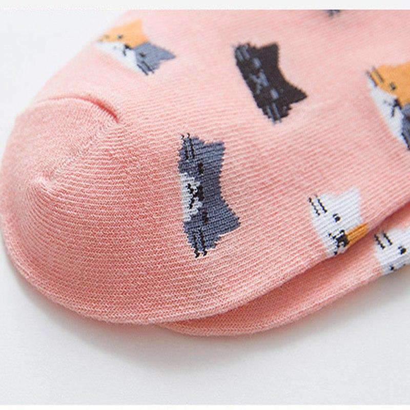 chaussettes femme motif chat sur fond rose, lot de cinq paires élégantes et confortables avec design de tête de chat